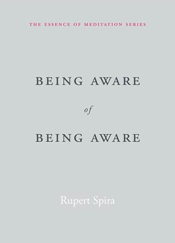Being Aware of Being Aware cover