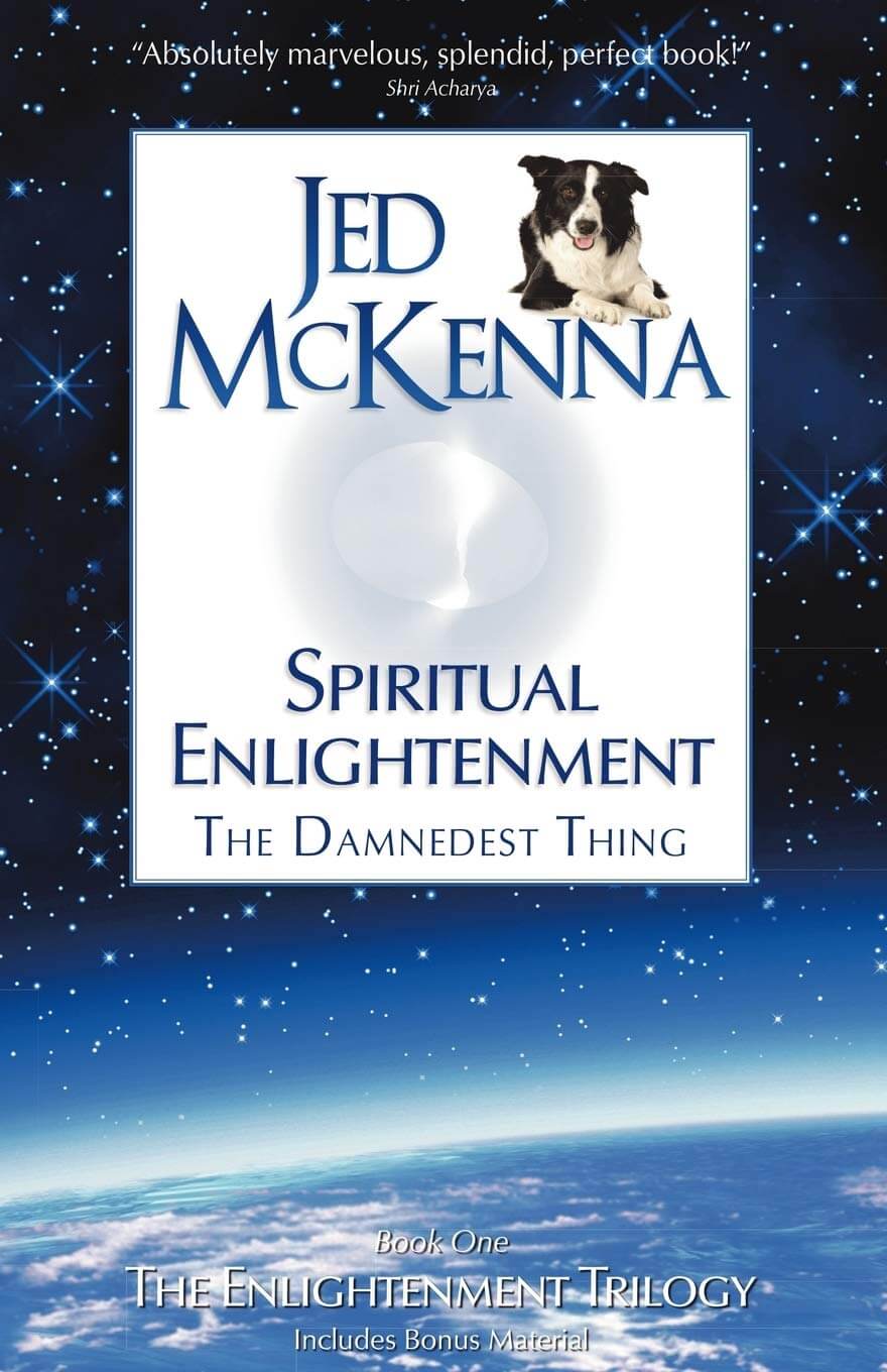 Spiritual Enlightenment: The Damndest Thing cover